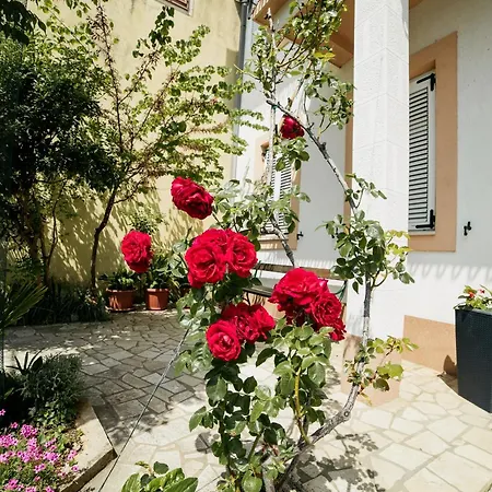 Διαμέρισμα 2364a